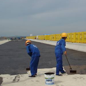 Phụ gia MS1 cho Sơn bitum chống thấm bazo 3